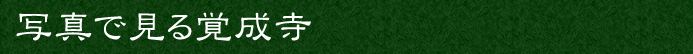 写真で見る覚成寺